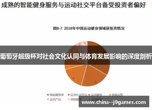 葡萄牙超级杯对社会文化认同与体育发展影响的深度剖析