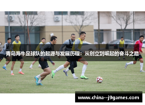青岛海牛足球队的起源与发展历程:从创立到崛起的奋斗之路 青岛海牛足球队的起源与发展历程:从创立到崛起的奋斗之路